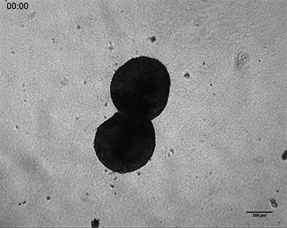動圖4.gif