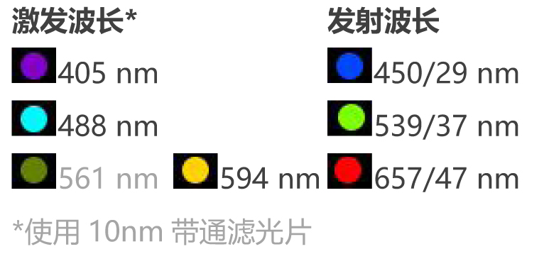 119.jpg